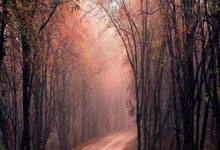 雷火电竞官网：亚冬会｜赛后打架 土库曼斯坦男子冰球队三人被罚新华网.