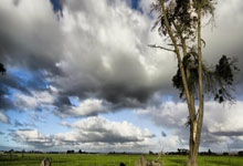 雷火电竞官网:亚冬会|赛后打架 土库曼斯坦男子冰球队三人被罚新华网.