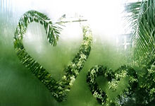 [CBA]张镇麟赛季首秀 辽宁送天津两连败.