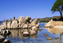 雷火电竞官网：亚冬会｜赛后打架 土库曼斯坦男子冰球队三人被罚新华网.